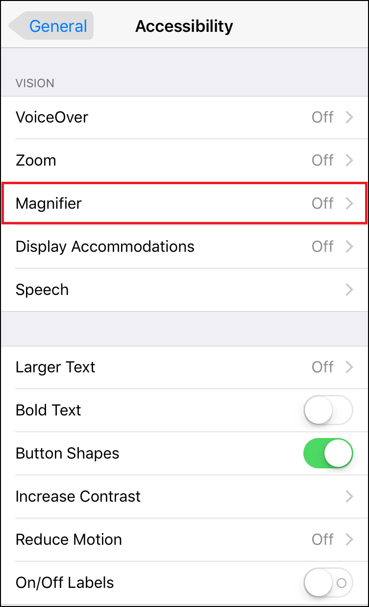 Magnifier Settings