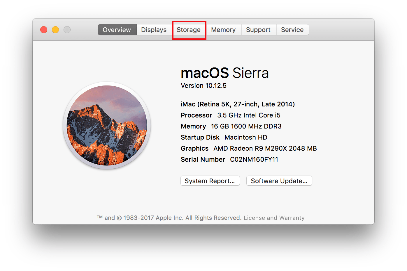 Automatically Free Up Storage Space in mac OS Sierra