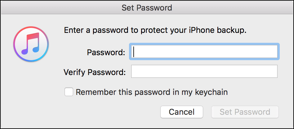 Set Password