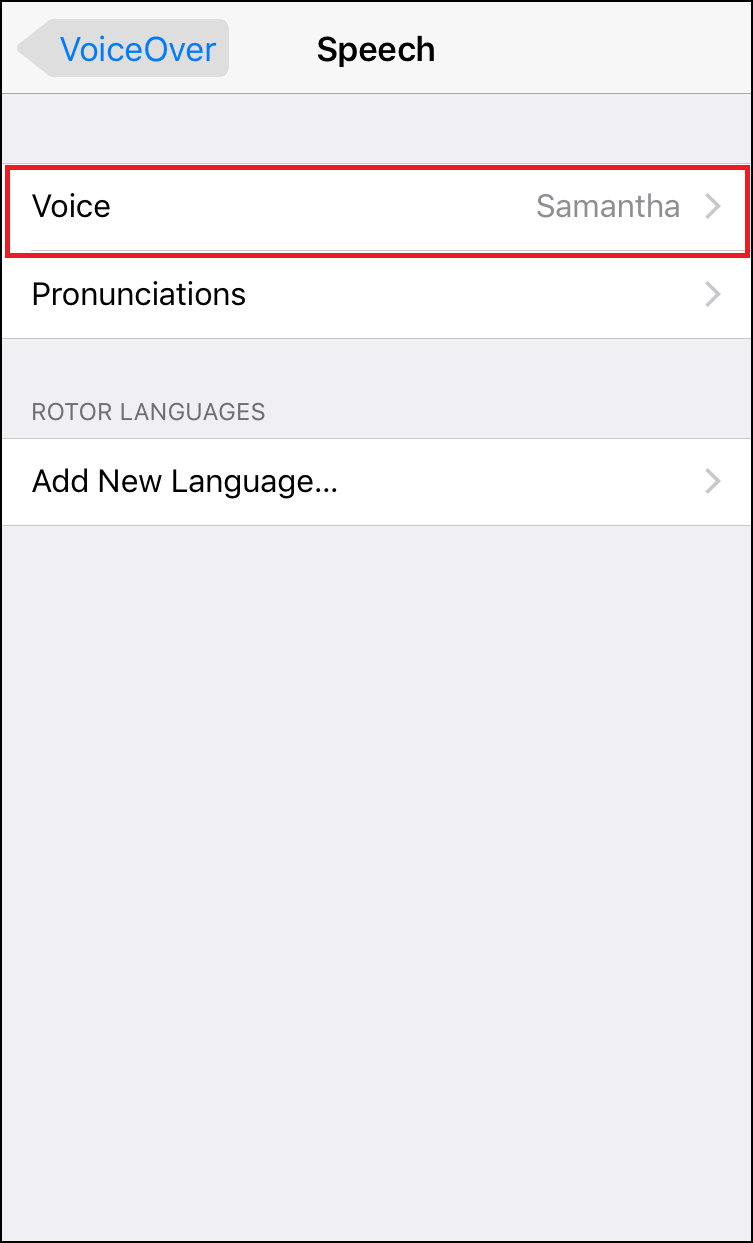 Speech Voice Setting