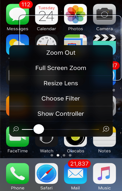 Zoom Options