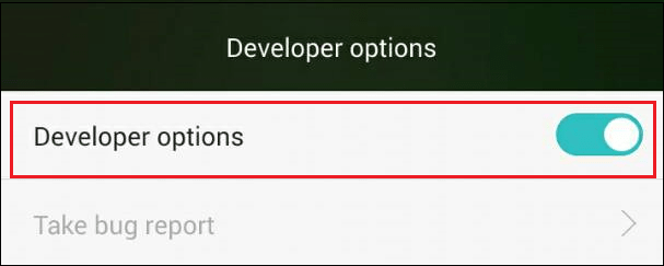 Developer options