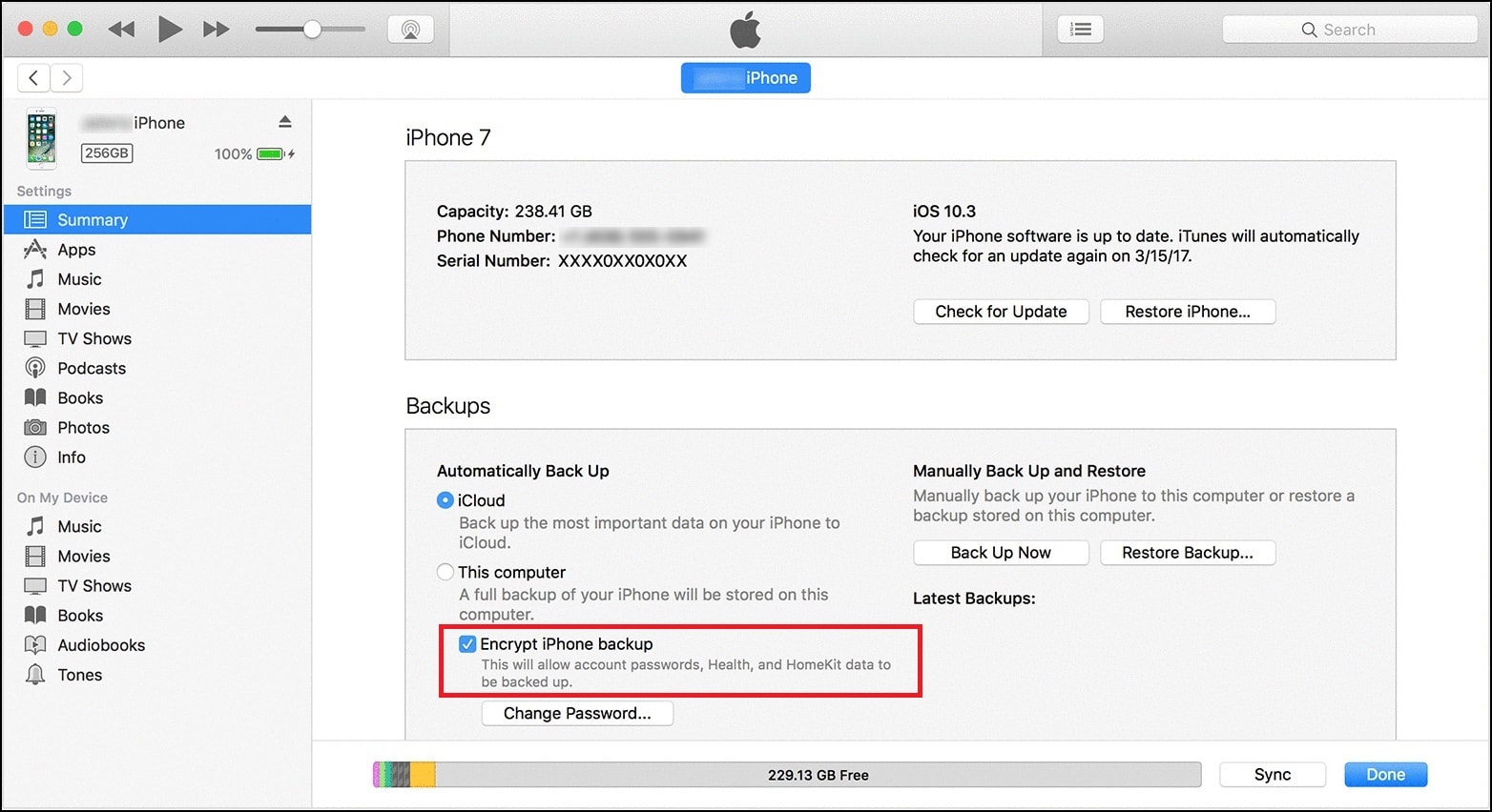 Encrypt iPhone