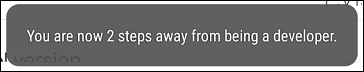 developer option